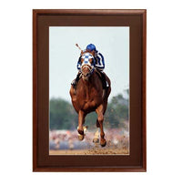9 x 12 Wood Picture Poster Display Frames with Matboard (Wood 353)