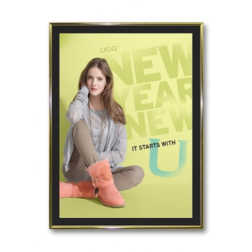 8.5x11 Picture Frames with Matboard (Classic Metal Poster Display)