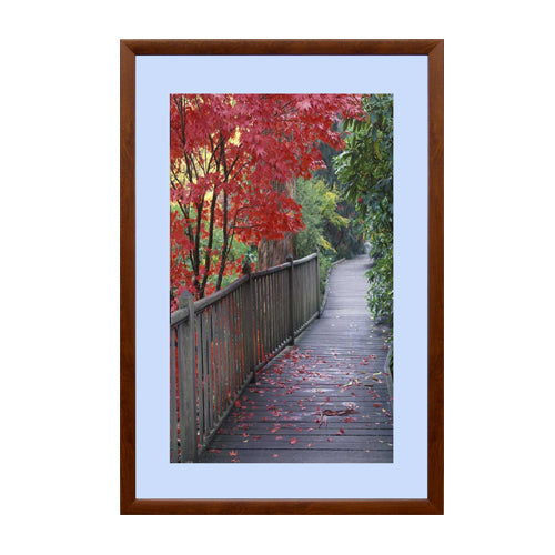 24x24 OAK WOOD SNAP FRAME (SHOWN WITH 4" BISCAY BLUE MATBOARD)