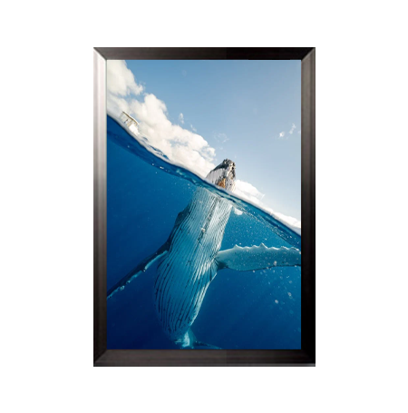 12x18 Poster Frame (SwingFrame Carbon Steel Poster Display)