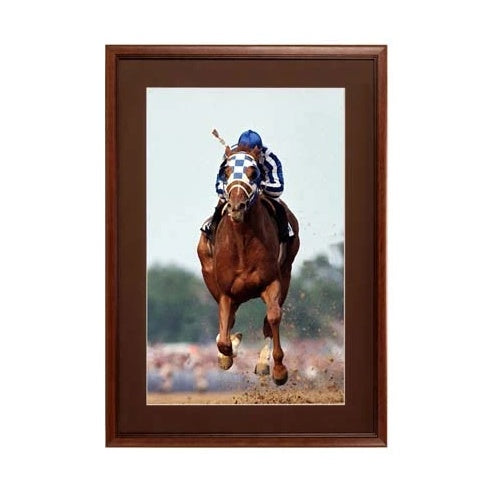 12 x 24 Wood Picture Poster Display Frames with Matboard (Wood 353)