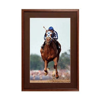 17 x 22 Wood Picture Poster Display Frames with Matboard (Wood 353)
