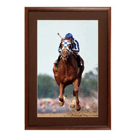 24 x 30 Wood Picture Poster Display Frames with Matboard (Wood 353)