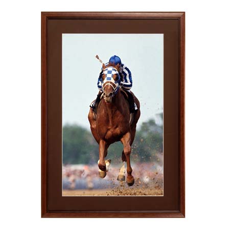 12 x 18 Wood Picture Poster Display Frames with Matboard (Wood 353)