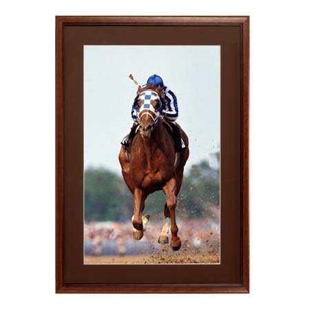 14 x 22 Wood Picture Poster Display Frames with Matboard (Wood 353)